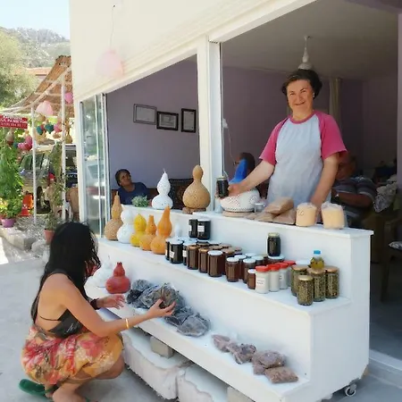 Hostel Gul Sogut